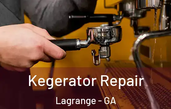  Kegerator Repair Lagrange - GA