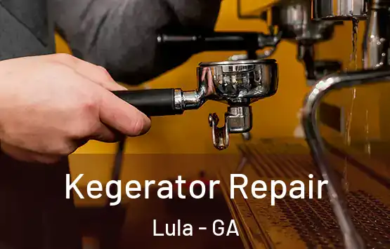  Kegerator Repair Lula - GA