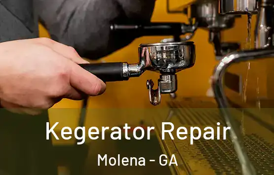  Kegerator Repair Molena - GA