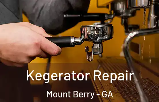  Kegerator Repair Mount Berry - GA