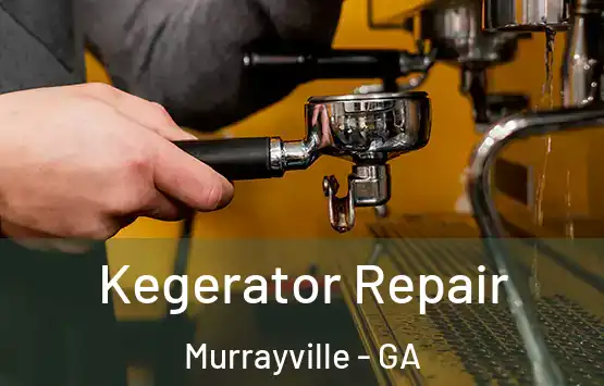  Kegerator Repair Murrayville - GA