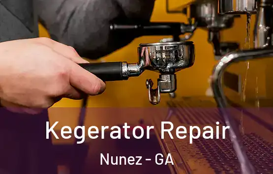  Kegerator Repair Nunez - GA