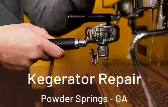 Kegerator Repair Powder Springs - GA