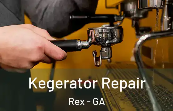  Kegerator Repair Rex - GA