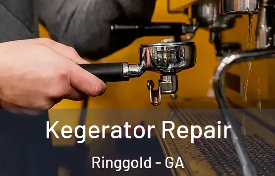  Kegerator Repair Ringgold - GA