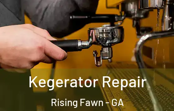  Kegerator Repair Rising Fawn - GA