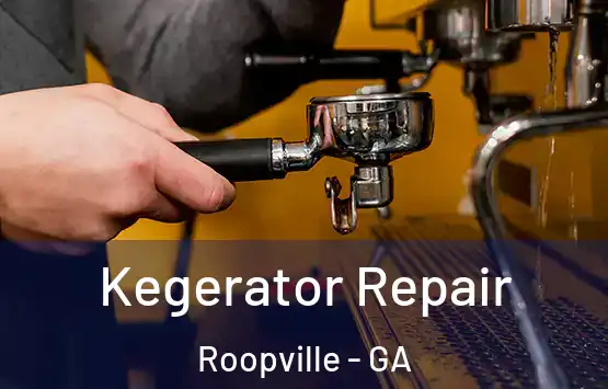  Kegerator Repair Roopville - GA
