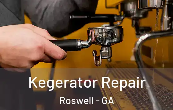  Kegerator Repair Roswell - GA