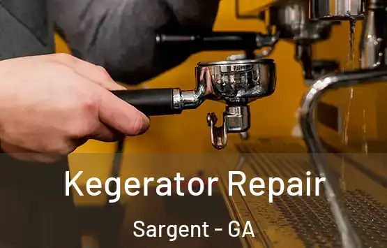  Kegerator Repair Sargent - GA