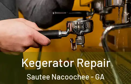  Kegerator Repair Sautee Nacoochee - GA