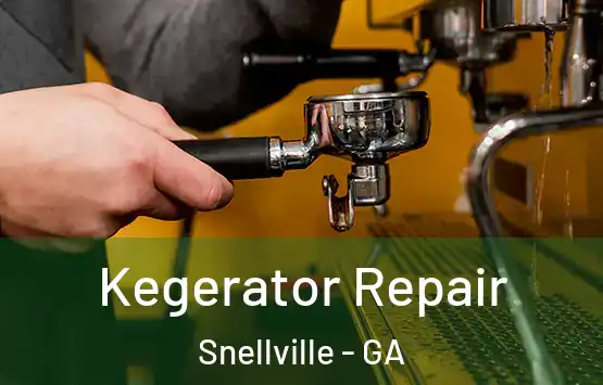  Kegerator Repair Snellville - GA