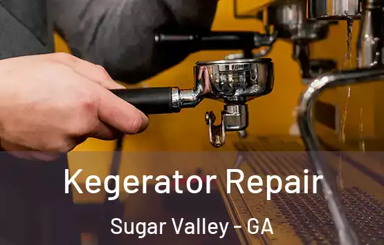  Kegerator Repair Sugar Valley - GA