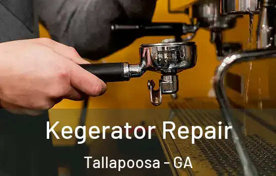  Kegerator Repair Tallapoosa - GA