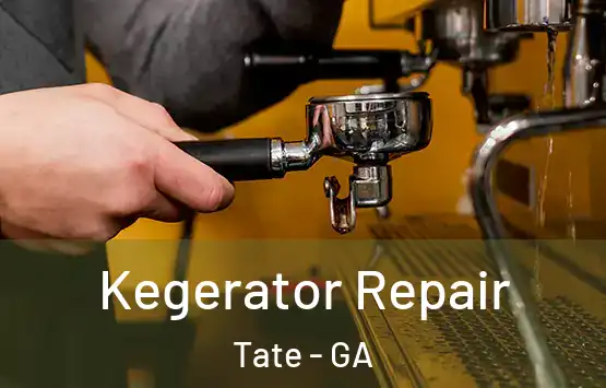  Kegerator Repair Tate - GA
