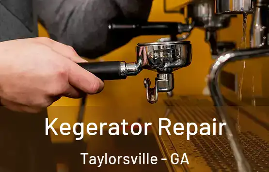  Kegerator Repair Taylorsville - GA