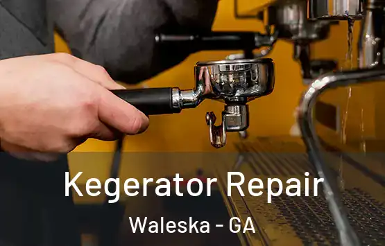  Kegerator Repair Waleska - GA