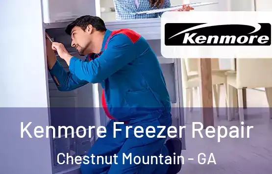  Kenmore Freezer Repair Chestnut Mountain - GA