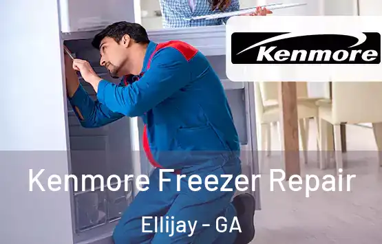  Kenmore Freezer Repair Ellijay - GA