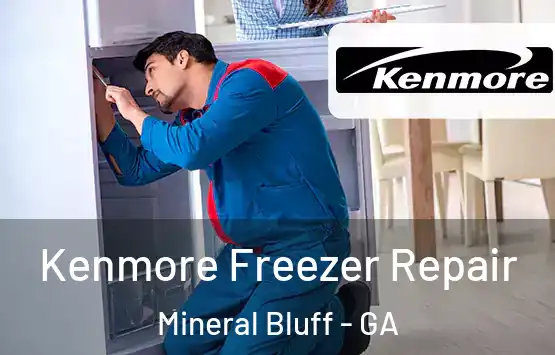  Kenmore Freezer Repair Mineral Bluff - GA