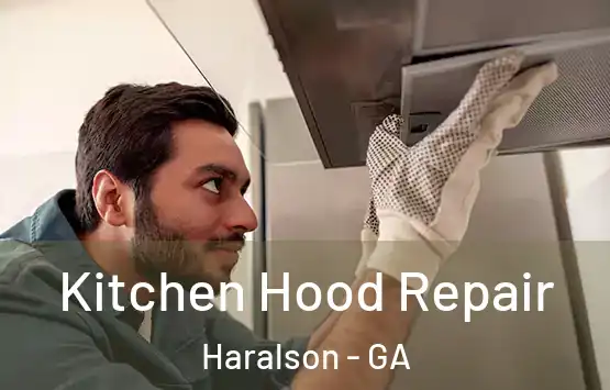  Kitchen Hood Repair Haralson - GA
