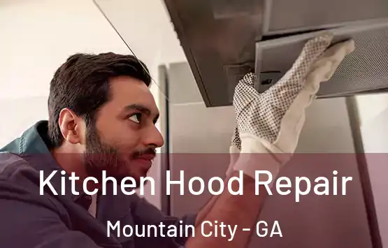  Kitchen Hood Repair Mountain City - GA