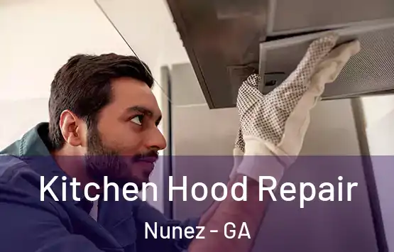  Kitchen Hood Repair Nunez - GA