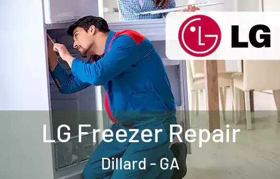  LG Freezer Repair Dillard - GA