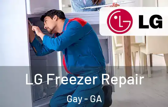  LG Freezer Repair Gay - GA