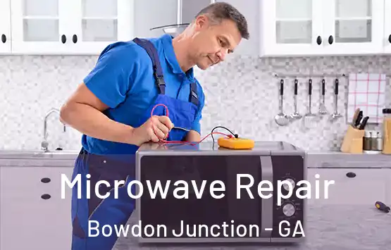  Microwave Repair Bowdon Junction - GA