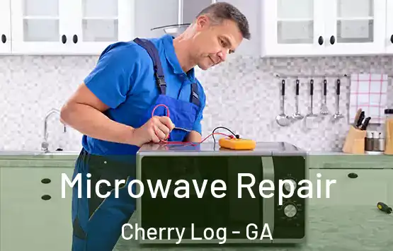  Microwave Repair Cherry Log - GA
