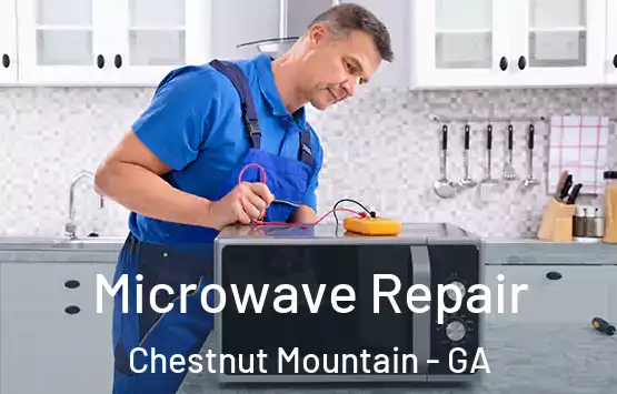  Microwave Repair Chestnut Mountain - GA