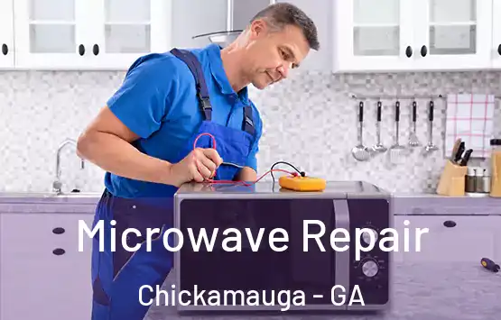  Microwave Repair Chickamauga - GA
