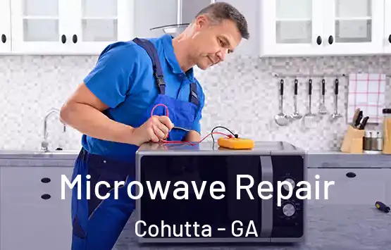  Microwave Repair Cohutta - GA