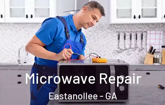  Microwave Repair Eastanollee - GA