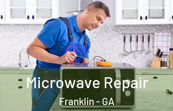 Microwave Repair Franklin - GA