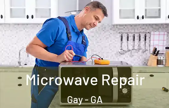  Microwave Repair Gay - GA