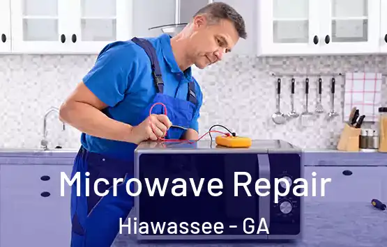  Microwave Repair Hiawassee - GA