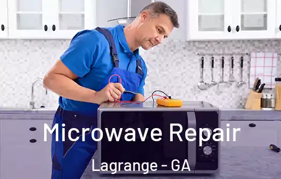 Microwave Repair Lagrange - GA