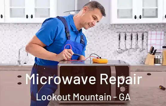  Microwave Repair Lookout Mountain - GA