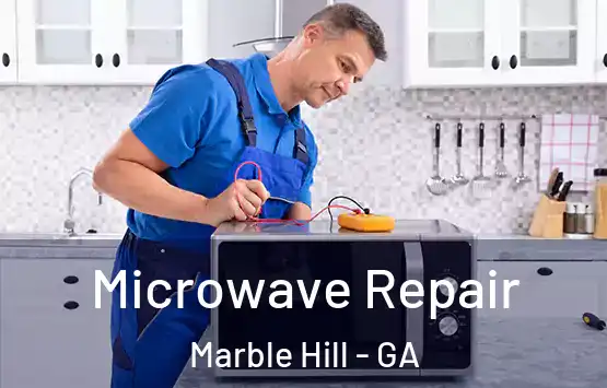  Microwave Repair Marble Hill - GA