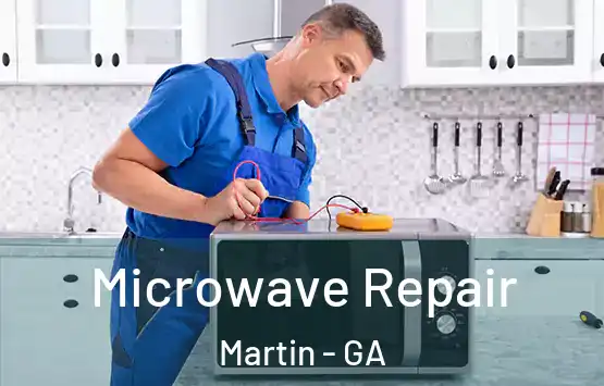  Microwave Repair Martin - GA