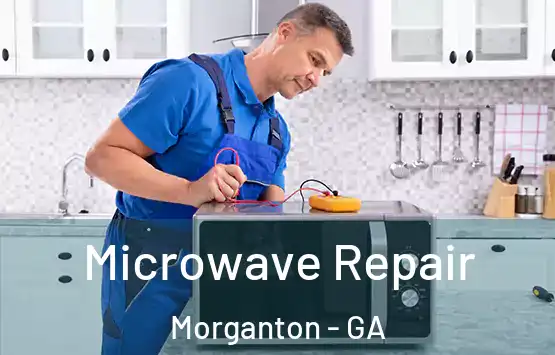  Microwave Repair Morganton - GA