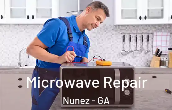  Microwave Repair Nunez - GA