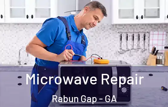  Microwave Repair Rabun Gap - GA