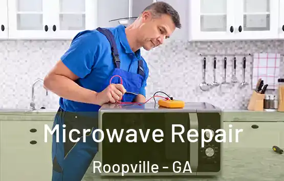  Microwave Repair Roopville - GA