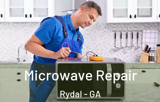  Microwave Repair Rydal - GA