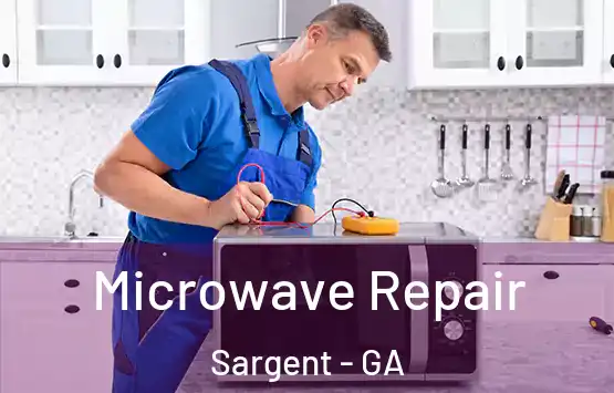  Microwave Repair Sargent - GA