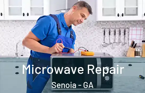  Microwave Repair Senoia - GA