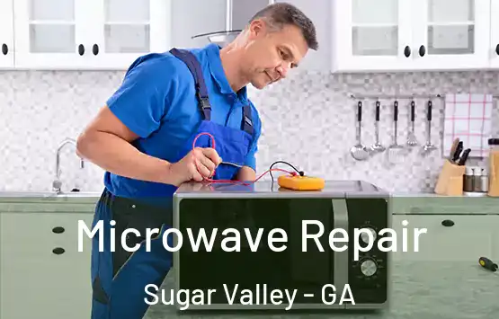  Microwave Repair Sugar Valley - GA