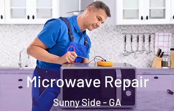  Microwave Repair Sunny Side - GA